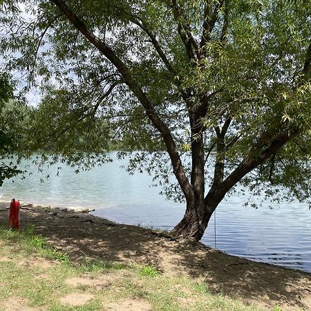 Camping Oaza بيلا تسركفا المظهر الخارجي الصورة