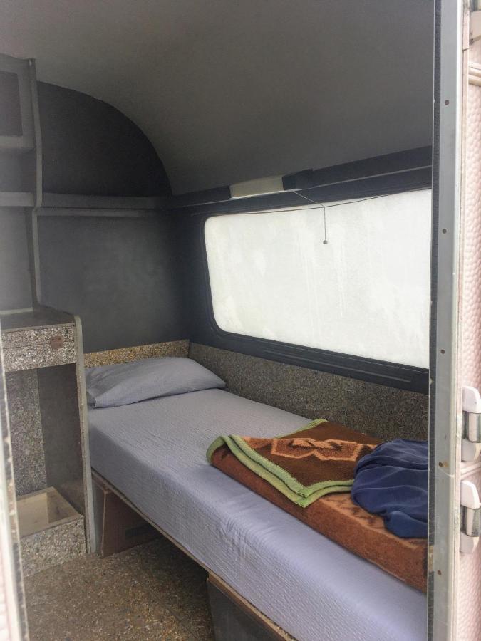 Camping Oaza بيلا تسركفا المظهر الخارجي الصورة