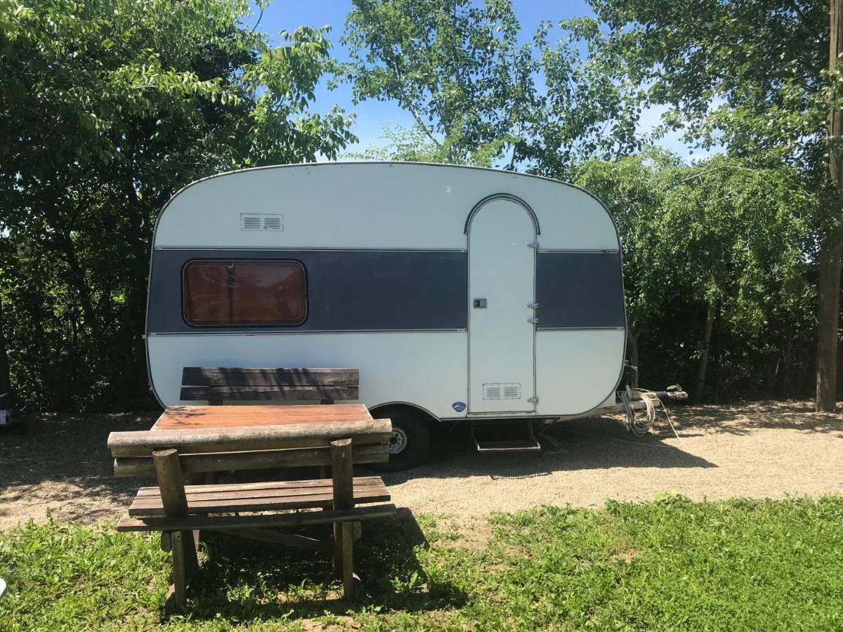 Camping Oaza بيلا تسركفا المظهر الخارجي الصورة